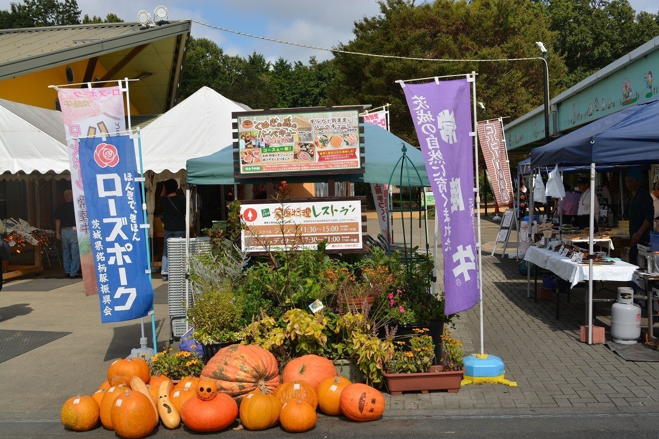 🛍️ 두근두근 포켓 농장 쓰쿠바 우시쿠점 (포켓토화-무도키도키 쓰쿠바우시쿠텐)